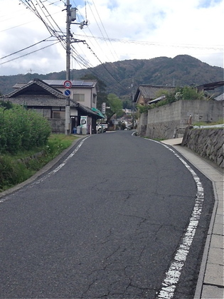 IMG_1226.jpg