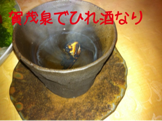 image-20110209104528.png