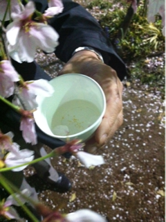 image-20110415145434.png