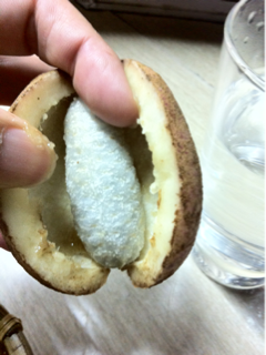 image-20111011201128.png