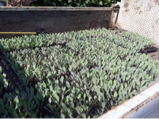 image-20111016141222.png