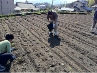 image-20111016141256.png