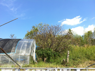 image-20111016141422.png
