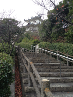 image-20121206101359.png