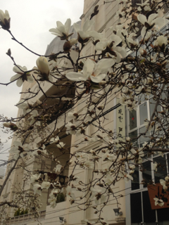 image-20130313093814.png